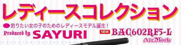 fB[XRNVނ肽̂̂߂̃fB[XfaIa`bUOQqeT|k