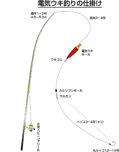 スズキのエサ釣り特集 アウトドア フィッシング ナチュラム