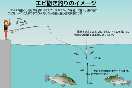 スズキのエサ釣り特集 アウトドア フィッシング ナチュラム