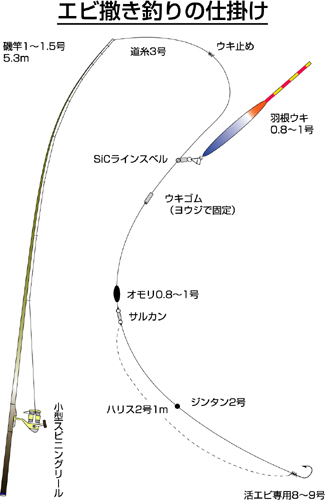 スズキのエサ釣り特集 アウトドア フィッシング ナチュラム