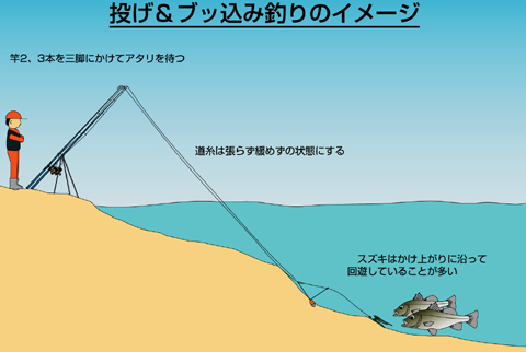 スズキのエサ釣り特集 アウトドア フィッシング ナチュラム