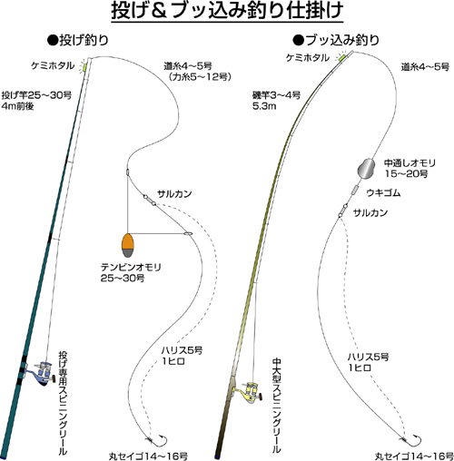 スズキのエサ釣り特集 アウトドア フィッシング ナチュラム