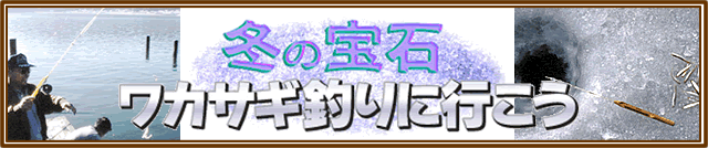 �~�̕�� ���J�T�M�ނ�ɍs�����I