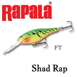 Rapala(ラパラ) シャッドラップ（Ｓｈａｄ Ｒａｐ） ７０ｍｍ ＦＴ SR7-FT