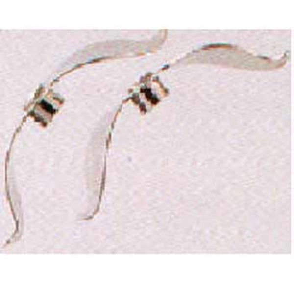 バレーヒル(ValleyHill) プロップ 左転   プロップ