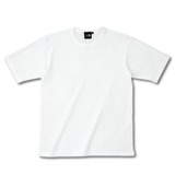 THE NORTH FACE(ザ･ノース･フェイス) S/S DACRON QD COTTON TEE NT30627 半袖Tシャツ(メンズ)