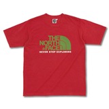 THE NORTH FACE(ザ･ノース･フェイス) Color Dome Tee NT32431 半袖Tシャツ(メンズ)
