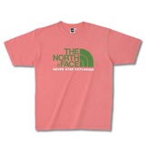 THE NORTH FACE(ザ･ノース･フェイス) Color Dome Tee NT32431 半袖Tシャツ(メンズ)