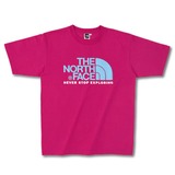 THE NORTH FACE(ザ･ノース･フェイス) Color Dome Tee NT32431 半袖Tシャツ(メンズ)