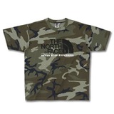 THE NORTH FACE(ザ･ノース･フェイス) Color Dome Tee NT32431 半袖Tシャツ(メンズ)
