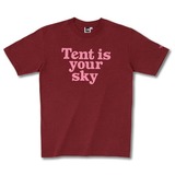 THE NORTH FACE(ザ･ノース･フェイス) TNF PRINT TEE NT32600 半袖Tシャツ(メンズ)