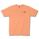 THE NORTH FACE(ザ･ノース･フェイス) TNF LOGO TEE NT32602 半袖Tシャツ(メンズ)