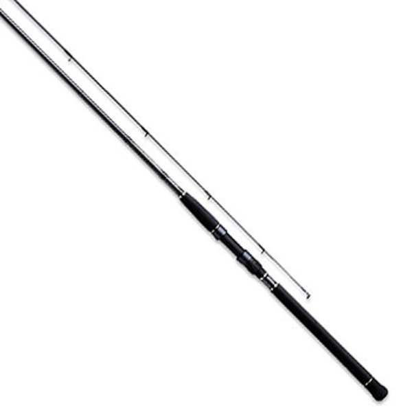 タイプ竿ロッドモアザン ブランジーノ 109 ML Daiwa more then - ロッド