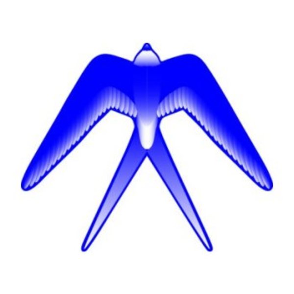 バイオカイト ツバメ GAA6411 スポーツトイ