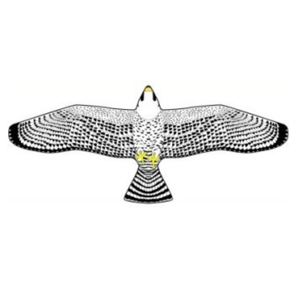 バイオカイト はやぶさ GAA0280 スポーツトイ