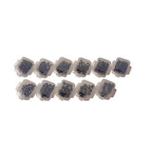 キザクラ プラヨージソフト 1898