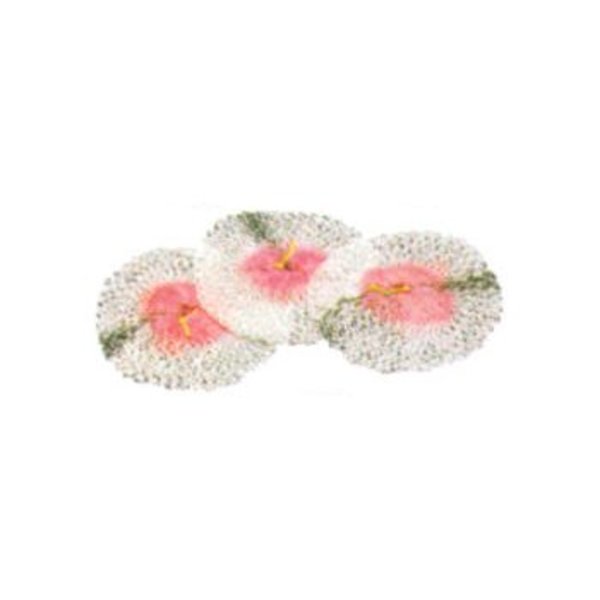 キャンピングガス シンフォニーマントル 63581 マントル