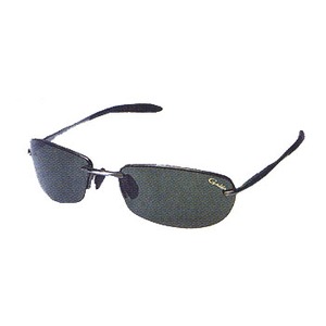 ܂(Gamakatsu) fl|PUWT@ΌTOX