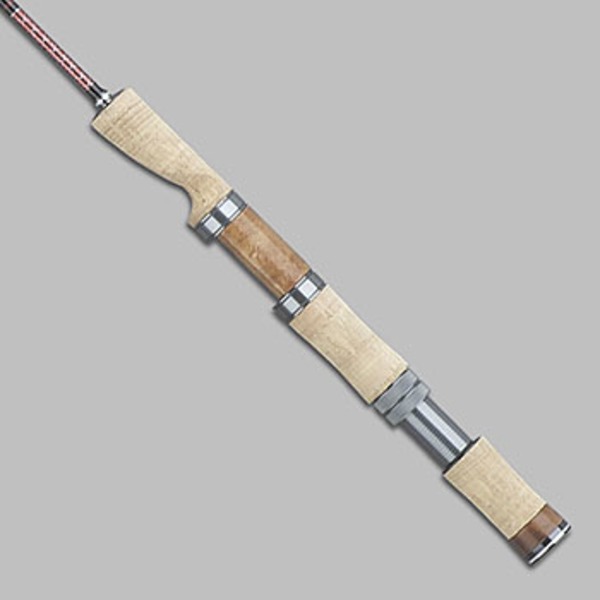 テイルウォーク(tail walk) BEATRiCK TYPE R 66 17003 2ピース