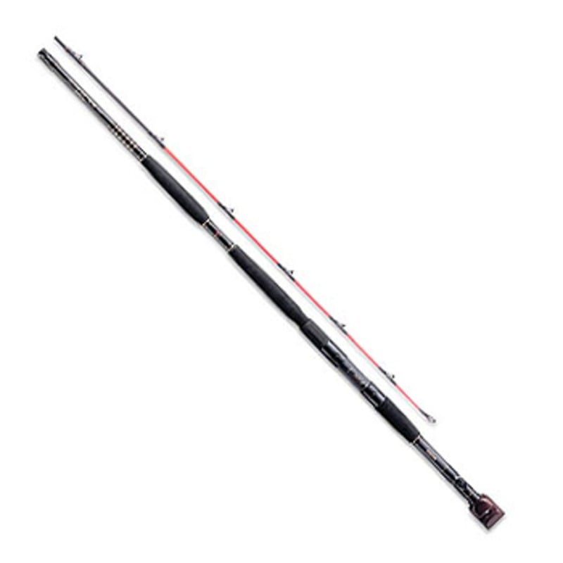 ダイワ(Daiwa) ビッグX石鯛564L 06525698|アウトドア用品・釣り具通販