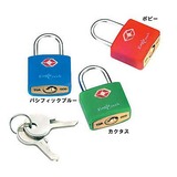 Eagle Creek(イーグルクリーク) TSA ミニ キーロック 11861550110000 セキュリティグッズ