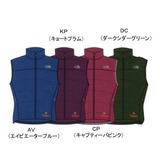 THE NORTH FACE(ザ･ノース･フェイス) ACONCAGUA Vest(アコンカグア ベスト) NDW18705 ダウン&中綿ベスト(メンズ)