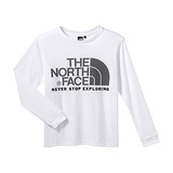 THE NORTH FACE(ザ･ノース･フェイス) NTJ37701 Color Dome Tee NTJ37701 長袖Tシャツ(メンズ)