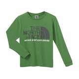THE NORTH FACE(ザ･ノース･フェイス) NTJ37701 Color Dome Tee NTJ37701 長袖Tシャツ(メンズ)