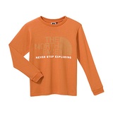 THE NORTH FACE(ザ･ノース･フェイス) NTJ37701 Color Dome Tee NTJ37701 長袖Tシャツ(メンズ)