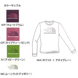 THE NORTH FACE(ザ･ノース･フェイス) NTW37600 TNF Logo Tee NTW37600 Tシャツ･カットソー長袖(レディース)