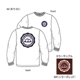 THE NORTH FACE(ザ･ノース･フェイス) NT37742 TNF Logo Tee NT37742 長袖Tシャツ(メンズ)