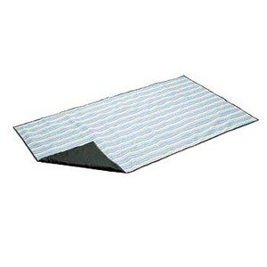 Coleman(R[}) XgCvW[V[g