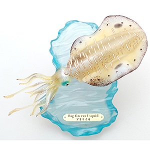 tFobg(Favorite Co. Ltd) AtBMARNV