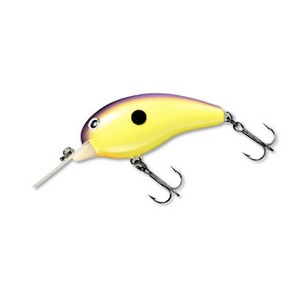 _C(Daiwa) X[p[s[ibc@cq