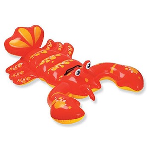 INTEX(CebNX) uX^[ChI