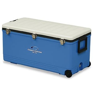 CampersCollection(Lp[YRNV) X[p[N[{bNXcw@bbSWk|cw