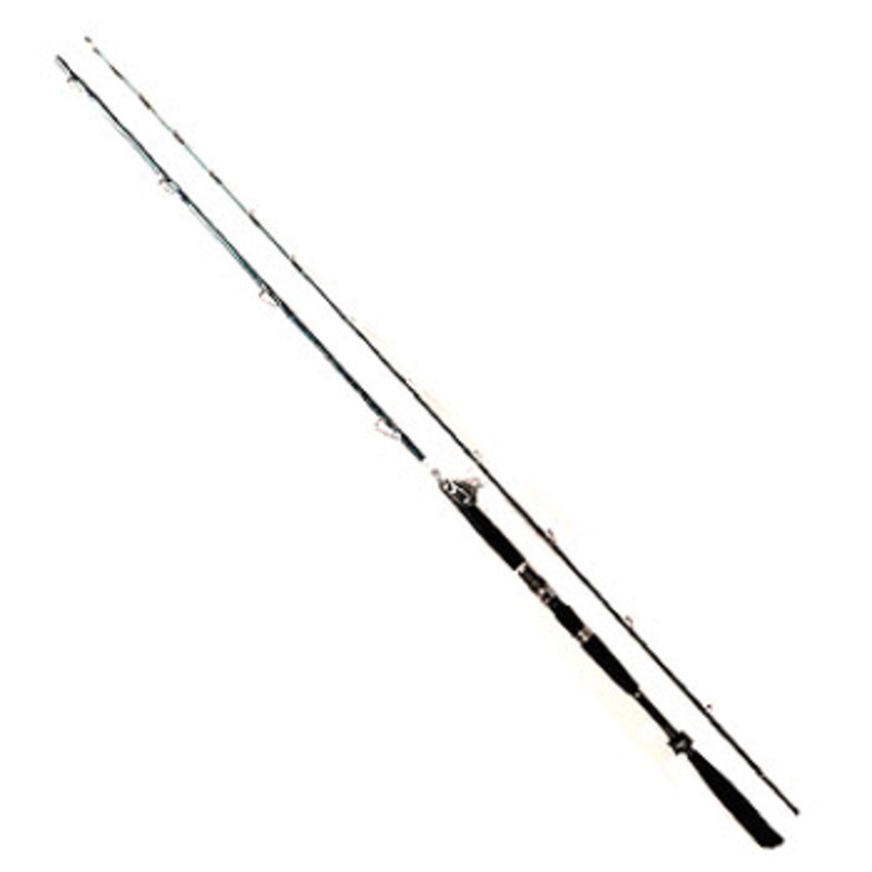 ダイワ(Daiwa) 青龍竿 舞 300 II 05289627｜アウトドア用品・釣り具
