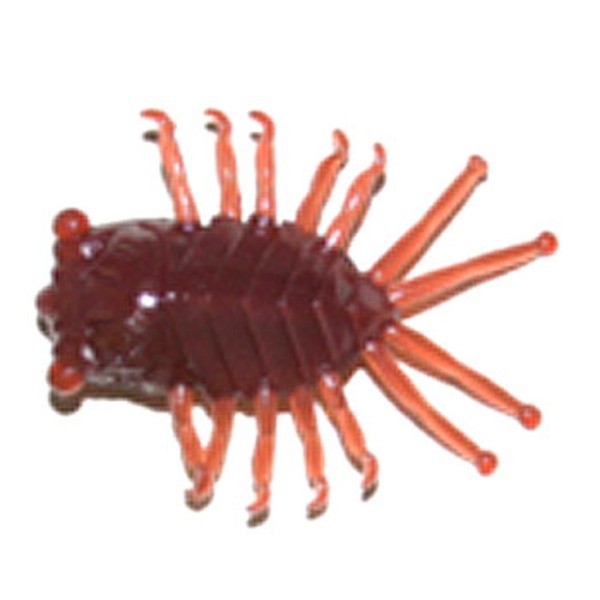 ティムコ(TIEMCO) アイバムシJr   ホッグ･クローワーム