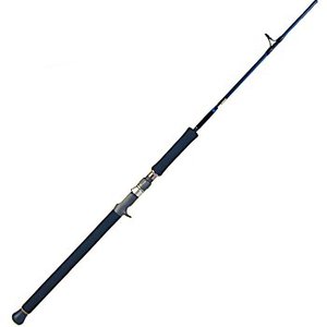 _CR[(DAIKO) WbJ[@iaUO^R