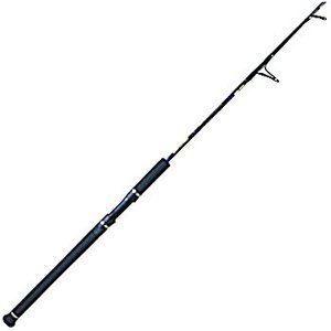 Go[O[(EVERGREENj |ZCh@oroiSPO