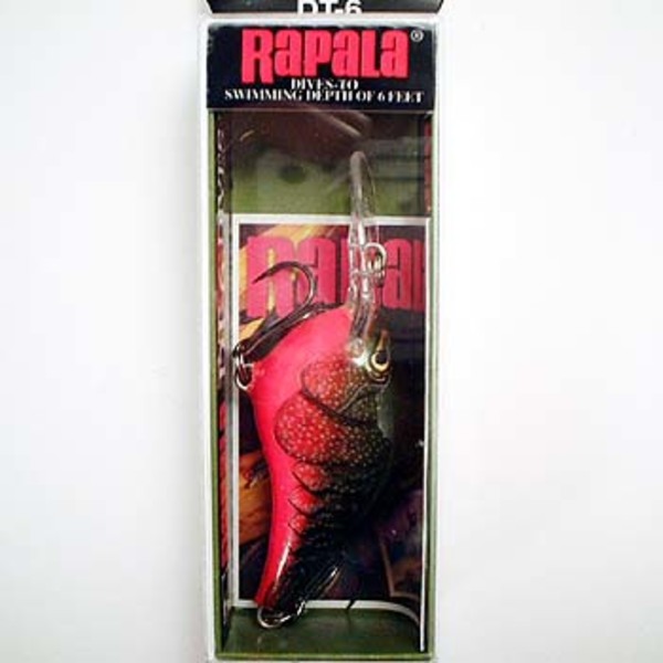 Rapala(ラパラ) ダイブストゥ シリーズ DT6-RCW クランクベイト