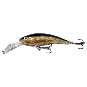 Rapala(p) e[_T[