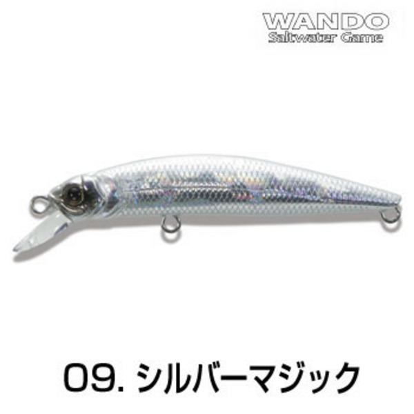 湾人 探極   ミノー(リップ付き)