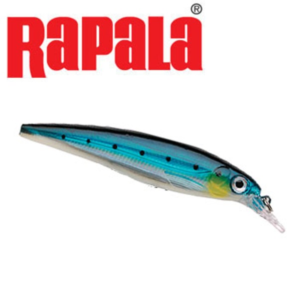 Rapala(ラパラ) SXR12 X-RAP SXR12 ミノー(リップ付き)