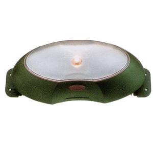 Coleman(R[}) egCg@POdr