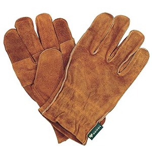 SX(LOGOS) aap@ϔMU[O[u