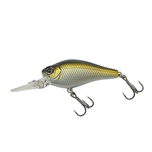 Q[[}g(Gary YAMAMOTO) fINN