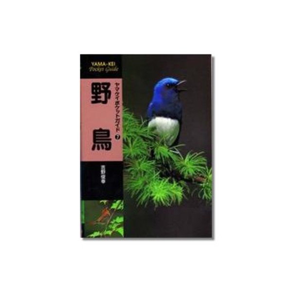 山と渓谷社 ヤマケイポケットガイド/第7巻 野鳥 062170 写真集