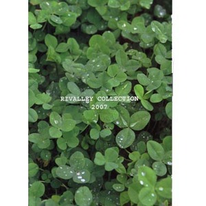 oC(Rivalley) QOOV@bnkkdbshnm@oCJ^O