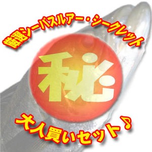 i` IV[oXA[EV[NbglZbg